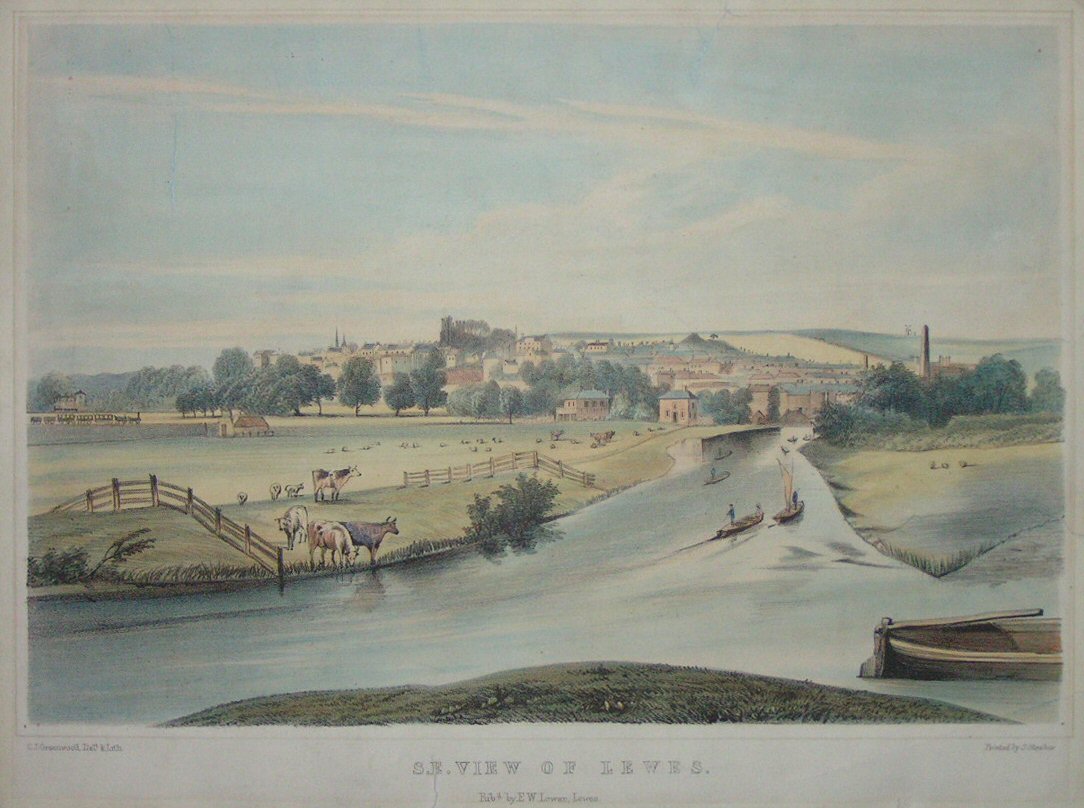 Lithograph - S.E. View of Lewes - Greenwood